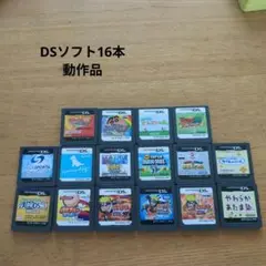 ニンテンドーDS ソフト16本