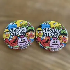 USJ セサミストリート ピンバッジ 2個セット ユニバーサルスタジオジャパン