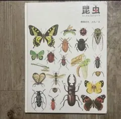 昆虫 ちいさななかまたち