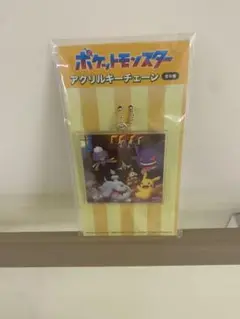 ポケットモンスター アクリルキーチェーン ②