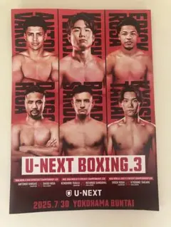 U-NEXT ボクシング3パンフレット