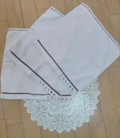 Item thumbnail for item e3dce8bb-cf06-4fc6-aa93-89faa7923101