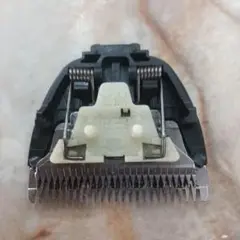 Item thumbnail for item 95fca3b1-1744-4932-94e6-20cda256bcd9