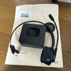 Item thumbnail for item c5c9a98e-ac7c-4089-b7a5-a8b08222fa4d