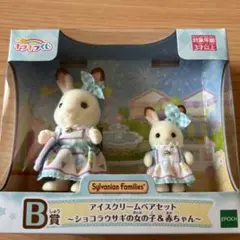 キラキラくじB賞