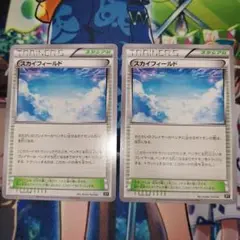 スカイフィールド スタジアム xy 2枚 エクストラ