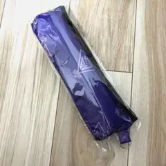 Item thumbnail for item 08db110f-f1a0-473e-bd01-b7593ef71d4d