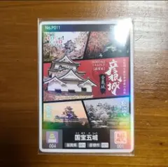 ロゲットカード　49　プロモ　5枚セット 彦根城　桜島　富士山　スカイツリーなど ロゲットカード 49 プロモ 5枚セット 彦根城 桜島 富士山 スカイ