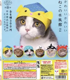 Item thumbnail for item 466b412b-fefd-488a-aa24-67a97bac120a