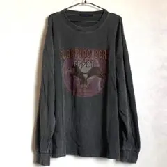 グラフィック　Tシャツ ロングスリープ　カットソー　スエット