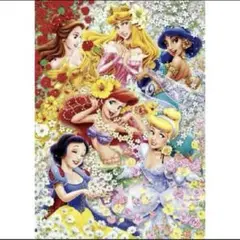 『廃番』ディズニープリンセス ジグソーパズル　315ピース