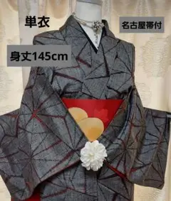 単衣小紋着物セット(名古屋帯付)