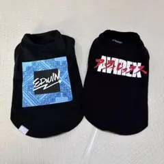 Item thumbnail for item 8b91d046-c4f6-4d8d-a2f4-4f0c4d90c637