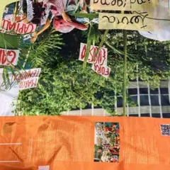 関西万博 ブラジル ポンチョ パランゴレ　オレンジ