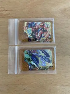 ポケモンフレンダ　コライドン　ミライドン　レガシー　スーパートレジャー