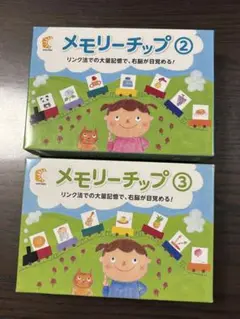 七田式 メモリーチップ 2 ・3 セット