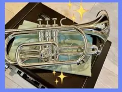 YAMAHA ヤマハ YCR-6330S コルネット B♭ マウスピース付き 高額買取実施中!!】§YAMAHA/ヤマハB♭管コルネットYCR-6330S