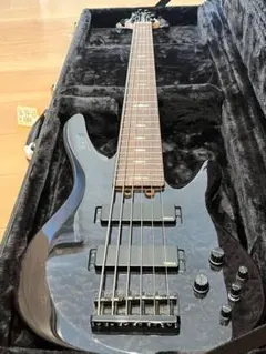 YAMAHA TRB 1006 カスタムaguilar OBP-3