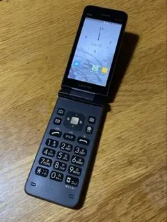 Item thumbnail for item 455c6972-30b2-4e4a-973b-eebf47f2b8fb