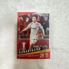 榊原杏太　名古屋グランパス　藤枝MYFC