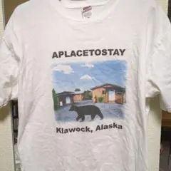 Klawock, Alaska アラスカ　 Tシャツ　 Lサイズ