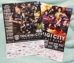 栃木シティ 2025　前半戦・ 後半戦 チラシ　各1枚セット