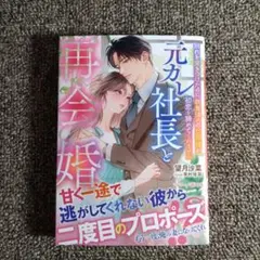 元カレ社長と再会婚～別れを突きつけたのに、執着強めの旦那様が初恋を諦めてくれ