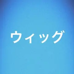 ウィッグ用ページ