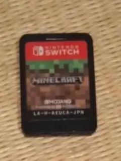 マイクラ　カセットのみ