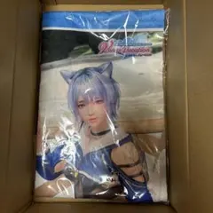 DOAXVV 7.5周年記念くじ　B賞　B2タペストリー