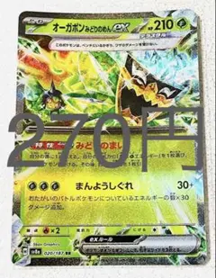 まこちゃん様リクエスト品 オーガポン2枚