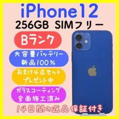 Item thumbnail for item d87b8d47-e97e-4293-9f3d-e8ae6cbe5b6b