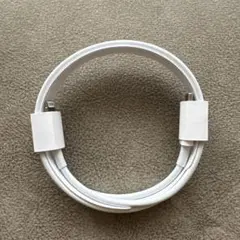 iPhone Lightningケーブル 純正