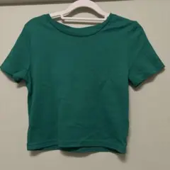グリーン Tシャツ Lサイズ コットン100%