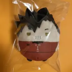 ハイキュー　黒尾鉄朗　ふわコロりん　 　ぬいぐるみ　ユニフォーム
