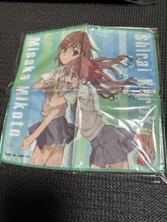 白井黒子　アニメキャラクタータオル 御坂美琴＆白井黒子(プールサイド) フェイスタオル 「とある科学