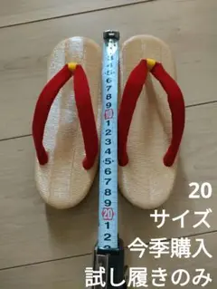 子ども　ぞうり