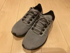 NIKEズームペガサス37 25センチ