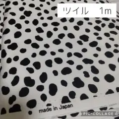 ダルメシアン柄　ツイル　ホワイト　1ｍ