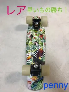 penny ペニー 22インチ penny 激レア 南国柄 蓄光 廃番
