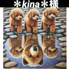 ＊kina＊様❣️ハンドメイドオリジナル＊パネル付巾着バック