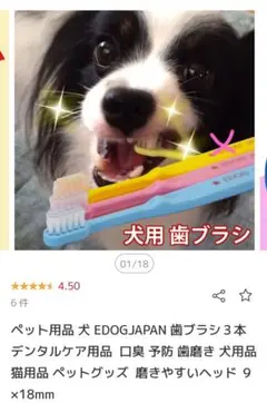 Item thumbnail for item 6e3a1140-ecf7-4dc4-a84d-d9a225a3a69b