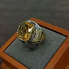 Item thumbnail for item 6f4e52cf-3508-4670-afbf-68ee1ae3c633