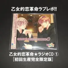 2025年最新】初回 乙女的 ラブレボの人気アイテム - メルカリ