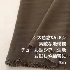 A3X/5385-01◆3m 感謝祭/ポリエステルシアー生地