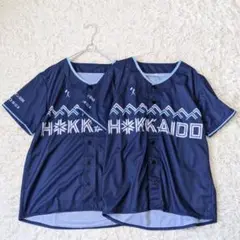 北海道日本ハムファイターズ WELOVEHOKKAIDO2025 ユニフォーム