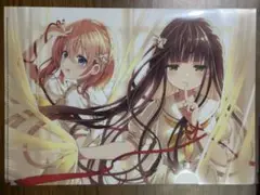 ご注文は東京アニメセンターですか？ブラインドクリアファイル③