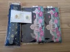 Item thumbnail for item 8b5a0894-f398-4ec2-9131-cca85bd28538