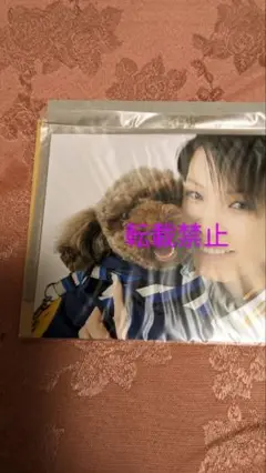 【非売品】宝塚OG 元花組　瀬戸かずや　直筆サイン入り写真