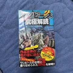 ワンピース究極解読 : ONE PIECE MANIAX!